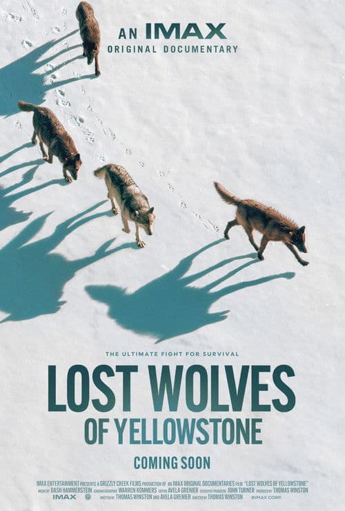 Poster for Lost Wolves of Yellowstone