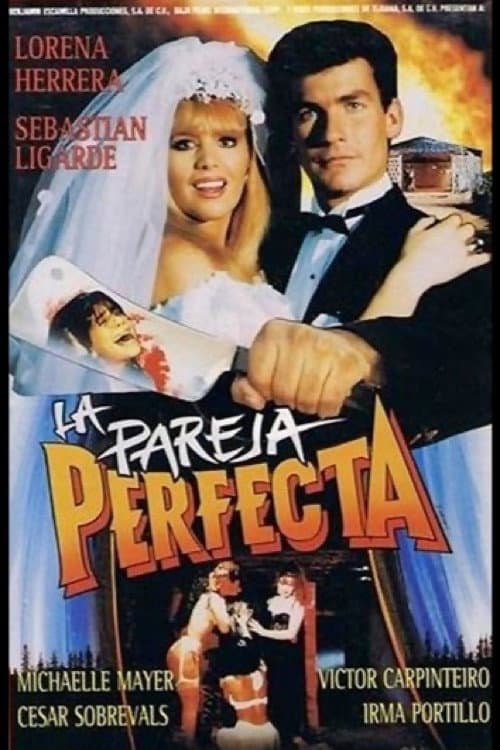 Poster for The Perfect Couple