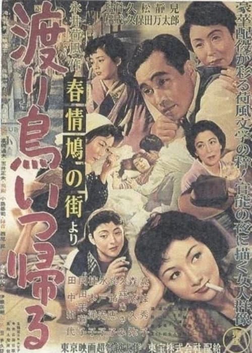 Poster for House of Many Pleasures
