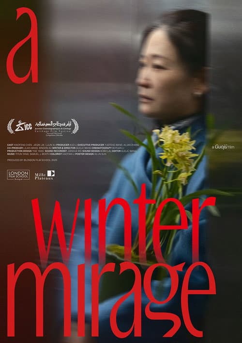 Poster for A Winter Mirage