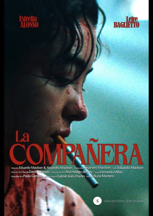 Poster for The Classmate