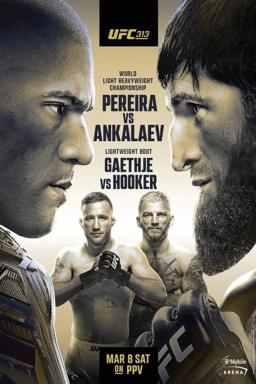 Poster for UFC 313: Pereira vs. Ankalaev