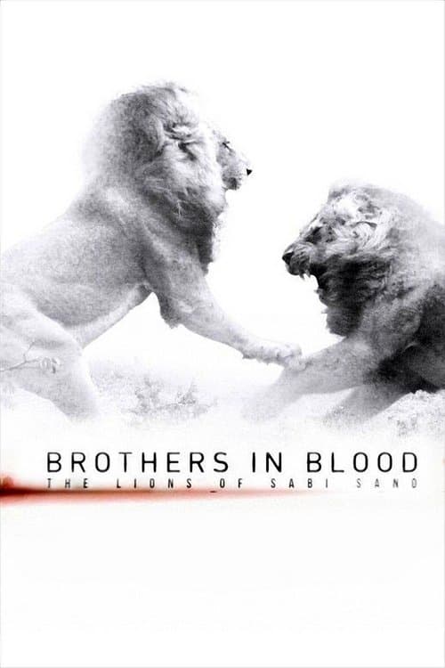 Poster for Brothers in Blood: The Lions of Sabi Sand