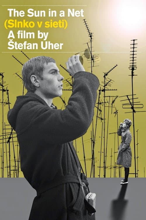 Постер до фільму «Сонце в тенетах»