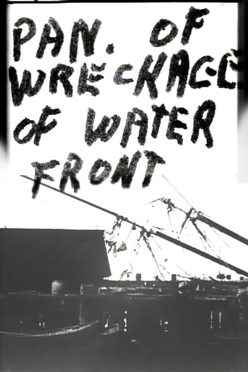 Постер до фільму «Panorama of Wreckage of Water Front»