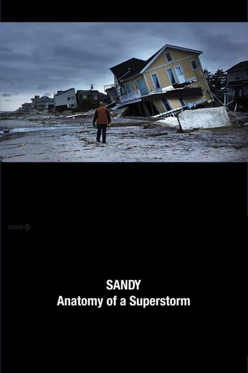 Постер до фільму «Sandy: Anatomy of a Superstorm»