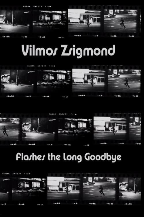 Poster for Vilmos Zsigmond Flashes 'The Long Goodbye'