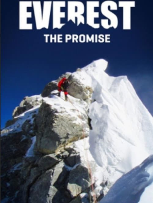 Poster for Everest the Promise