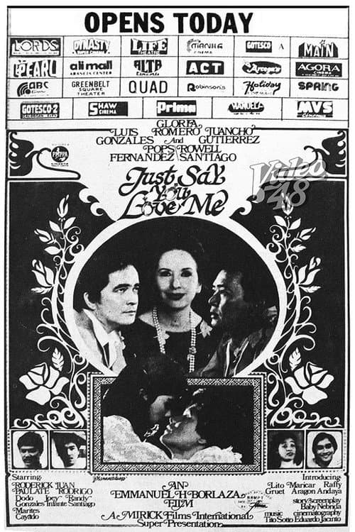 Poster for Just Say You Love Me