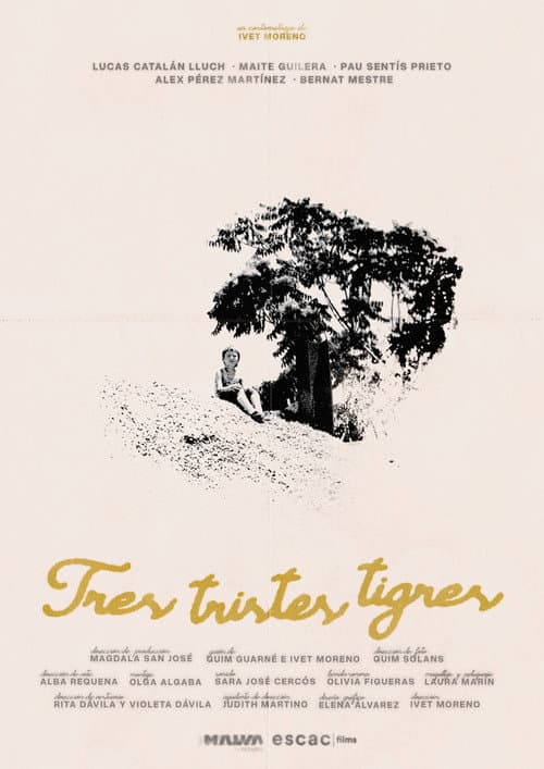 Poster for Tres tristes tigres