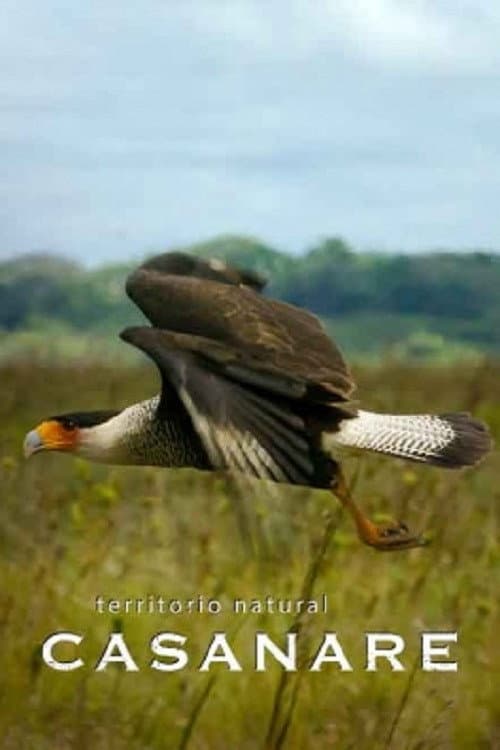 Poster for Territorio natural Casanare