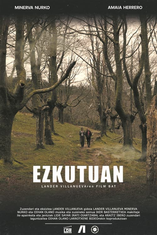 Poster for Ezkutuan