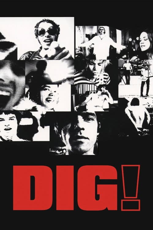 Poster for Dig!