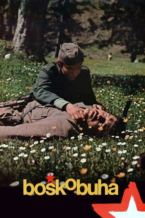 Poster for Boshko Buha