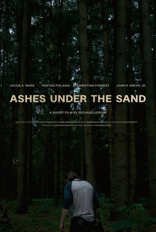 Постер до фільму «Ashes Under the Sand»