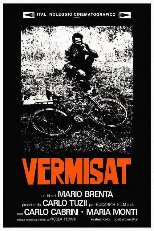 Poster for Vermisat