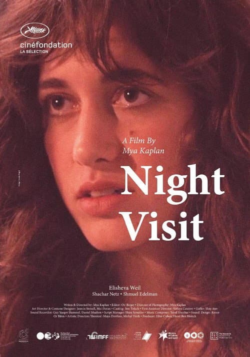 Poster for Night Visit