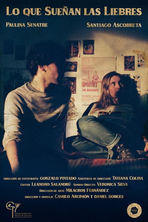 Poster for The Hares Dream