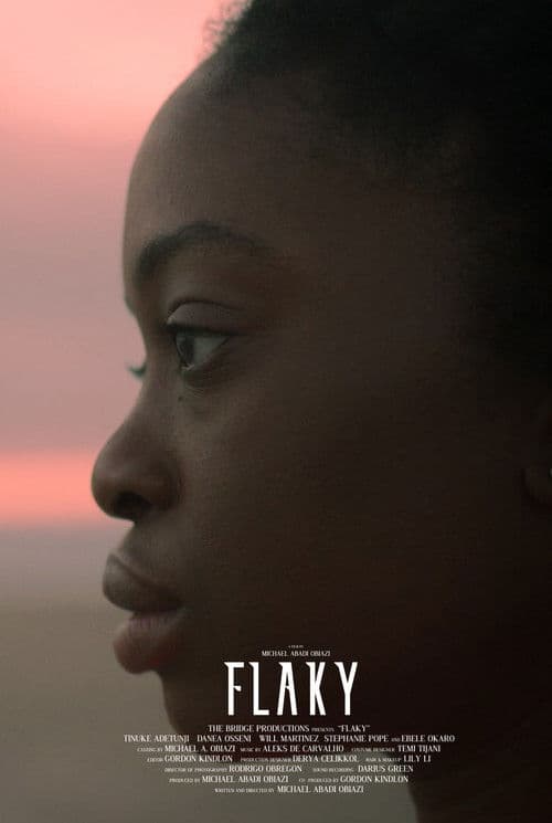 Poster for Flaky