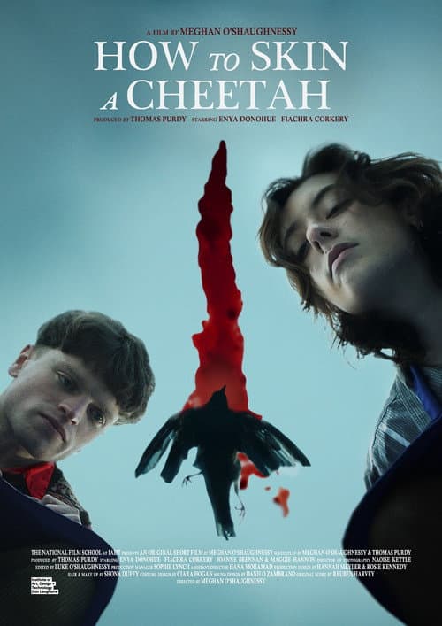 Poster for How to Skin a Cheetah