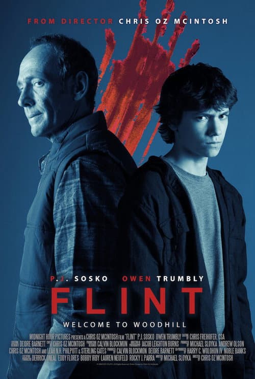 Poster for Flint