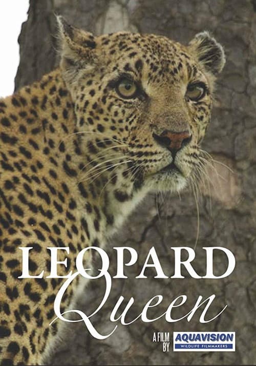 Poster for Leopard Queen