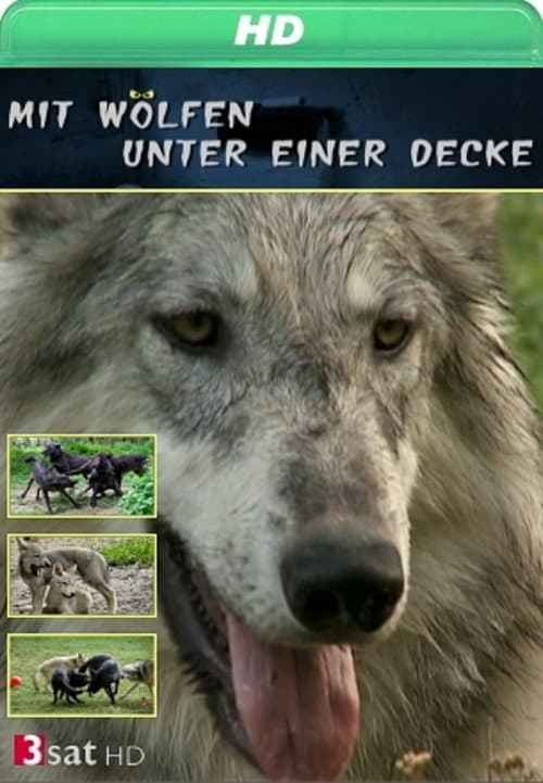 Poster for Mit Wölfen unter einer Decke