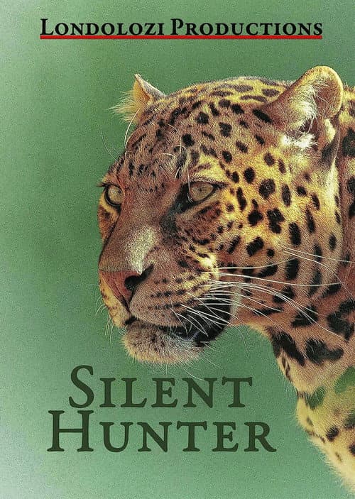 Poster for Silent Hunter