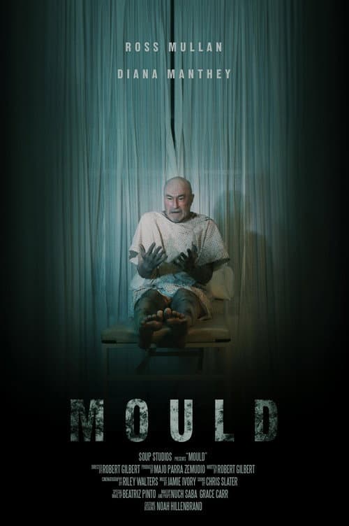 Poster for Mould