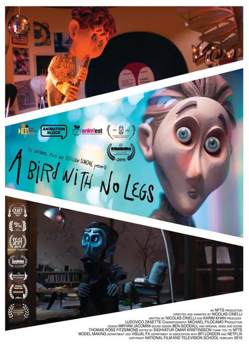 Poster for A Bird With No Legs