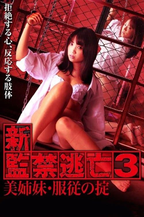 Poster for Escape Captivity 3: The Beautiful Sisters' Law of Submission