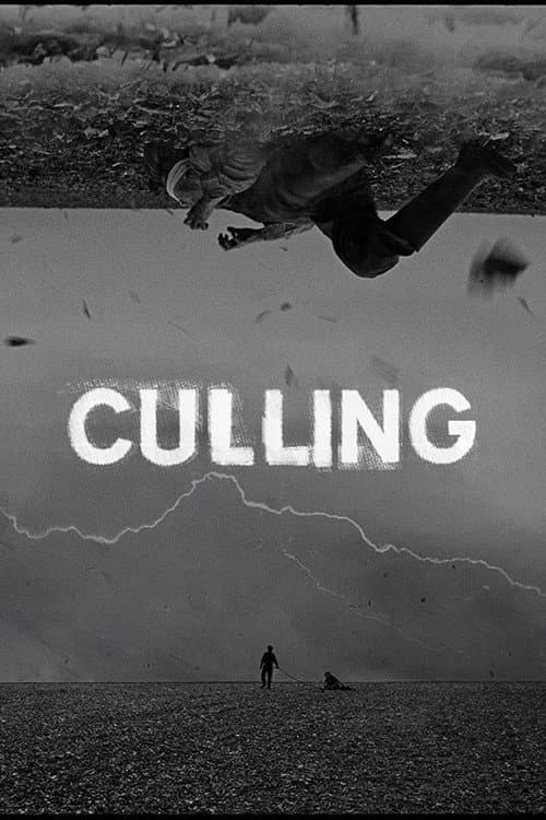 Poster for Culling