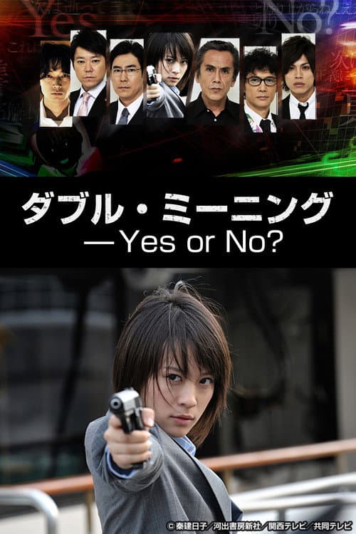 Poster for Double Meaning: Yes or No?