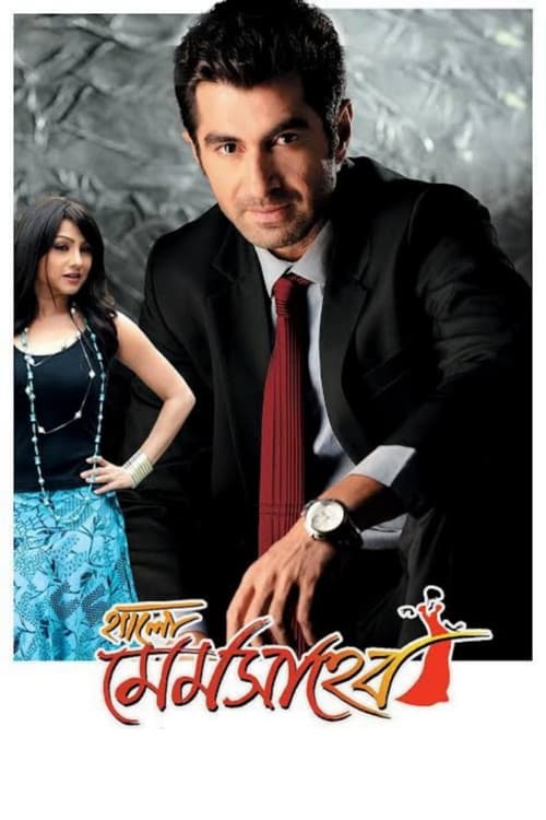 Poster for Hello Memsaheb