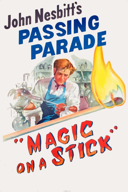 Poster for Magic on a Stick