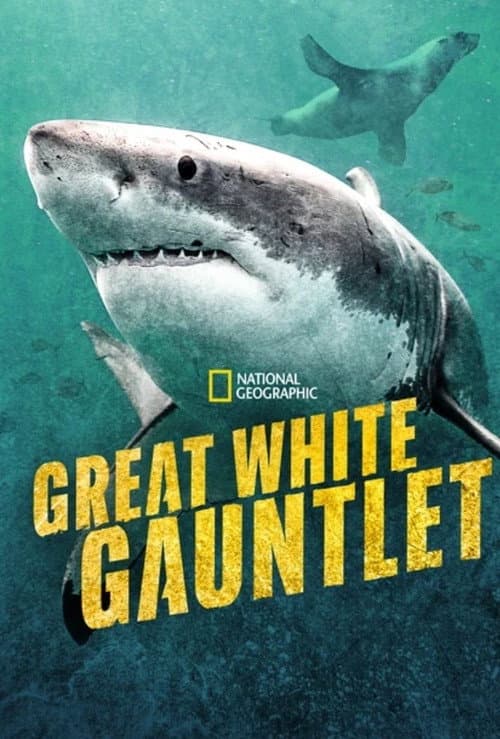 Poster for Great White Gauntlet