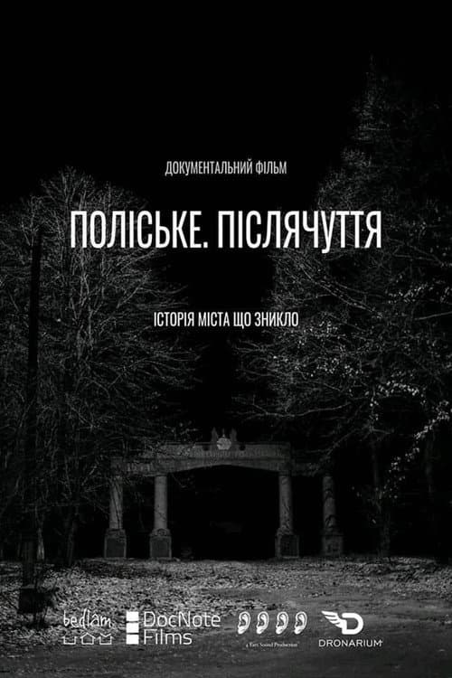 Poster for Polissya. Aftertaste