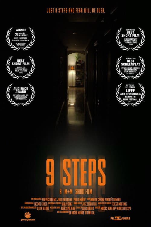 Poster for 9 Steps