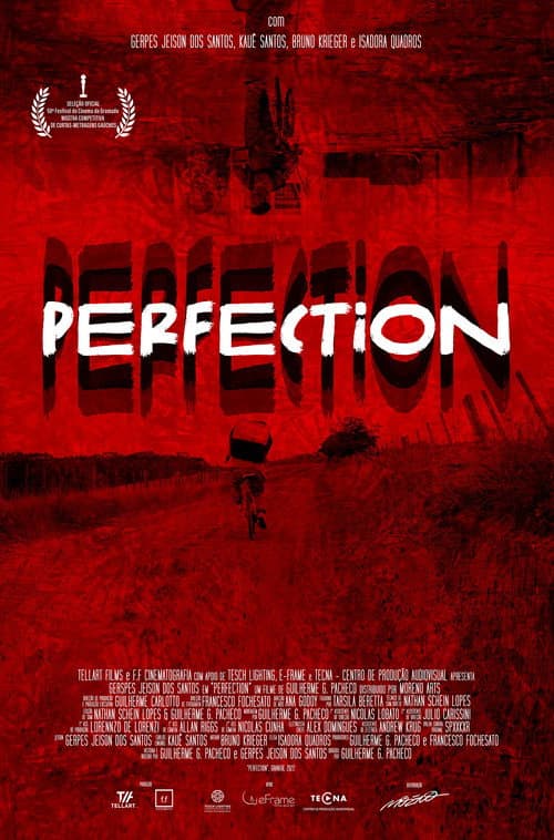 Poster for Perfection