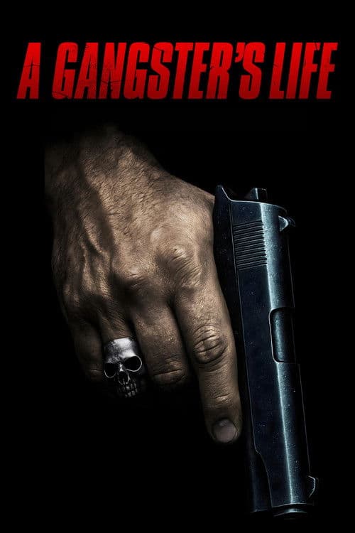 Poster for A Gangster's Life