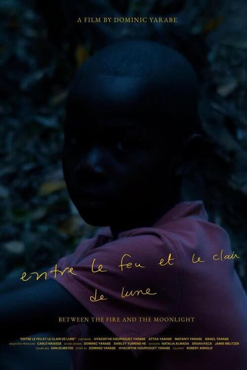 Poster for Between the fire and the moonlight