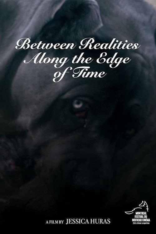 Poster for Between Realities Along the Edge of Time