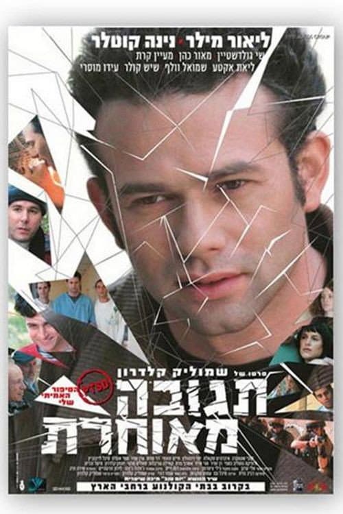 Poster for Delayed Reaction