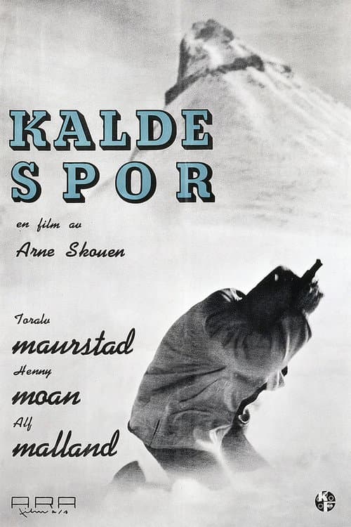 Poster for Cold Tracks
