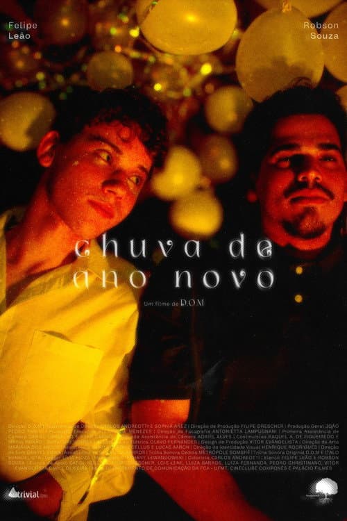 Poster for chuva de ano novo