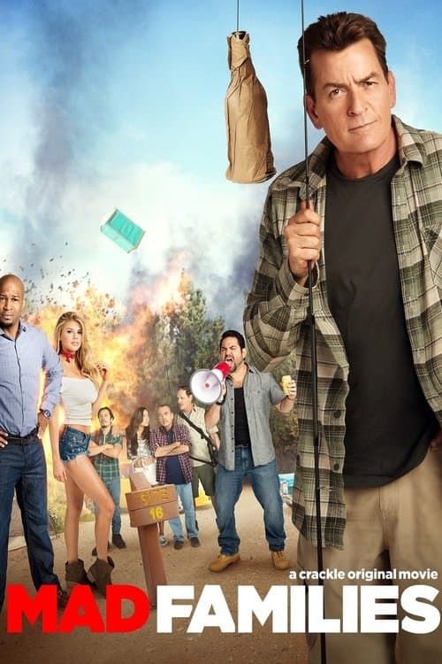 Poster for Mad Families
