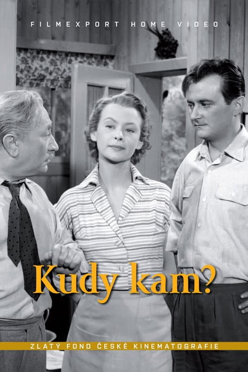 Poster for Kudy kam?