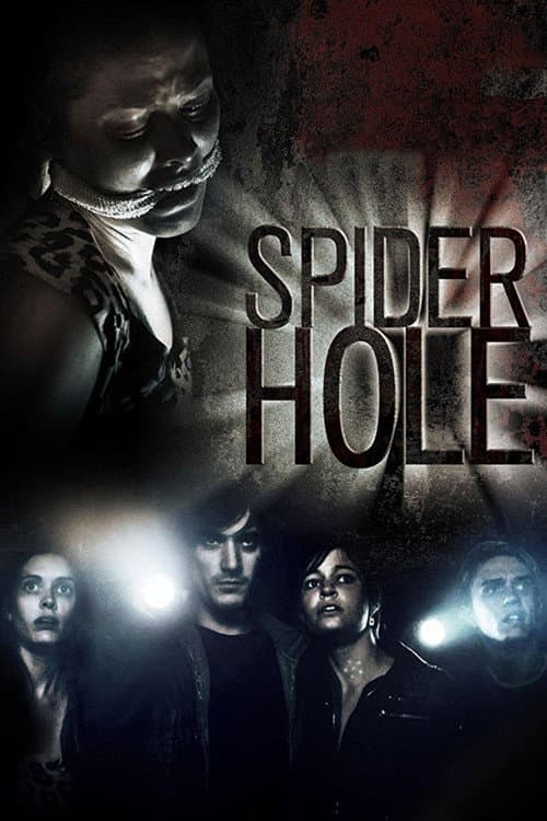 Poster for Spiderhole
