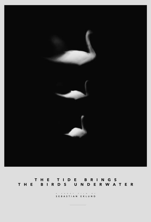 Poster for The Tide Brings the Birds Underwater