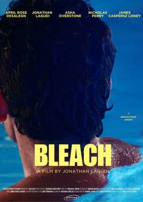 Poster for BLEACH